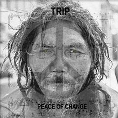 Peace of Change ( Beautiful Music )