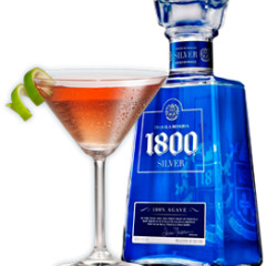 Maccey Bluez And L.O.C Loyalty Over Cash Presents JoeGeezy Feat.Yodie And J bizz-1800 And Tea