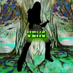 Rockets Arent Cheap Enough