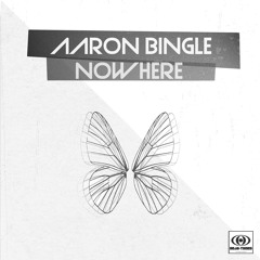 Aaron Bingle - Ment To Be