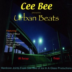 Spirit Free (Garage Remix) - Tasita D'Mour