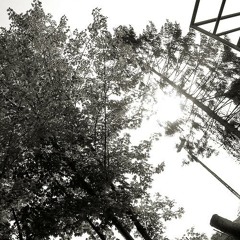 Schema-F - Das Innerste