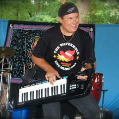 Rockin New Years Eve - Happy New Year Auld Lang Syne Blues