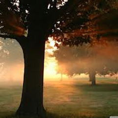 Delinquent From Tha Ox - New Day