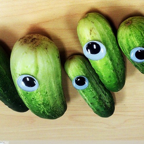 FORBIDDEN CUCUMBERS I