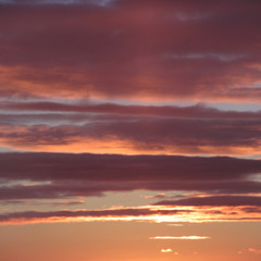 In the Pale Peach Light of the Dawn So Long Ago