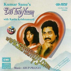 Beetab Hai Dil Kumar Sanu