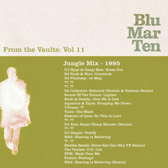 Blu Mar Ten - From the Vaults Vol 11 - Jungle Mix - 1995