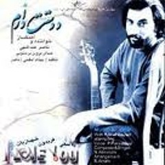 Naser Abdollahi-Mesle Roozaye Barooni