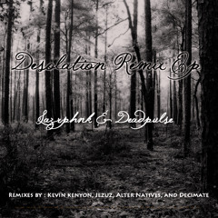LazrPhnk & DeadPulse - Desolation (Original Mix)