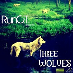Run C.T. - Three Wolves EP