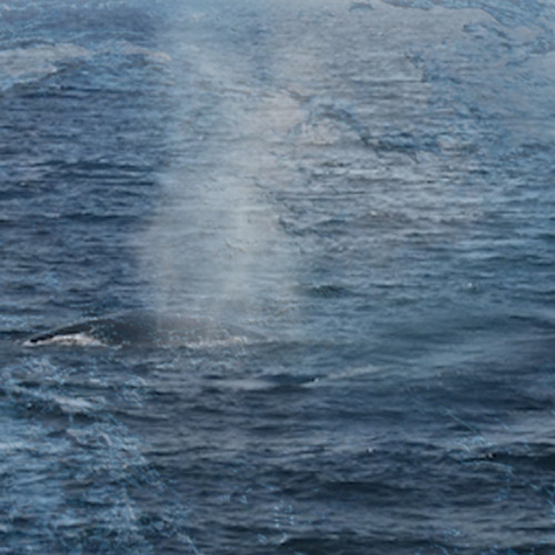 Blue breath 01012013