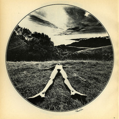 Dead Floor by Skip Skip Ben Ben