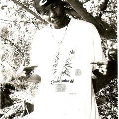 DreMob Ft. Richie Innocent - Nuttin Nuh Change