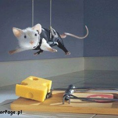 Patrick Key (PL) - Mouse Trap (Original Mix)