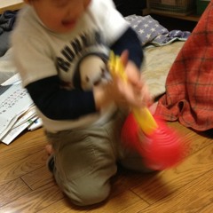 うけるとらちゃん 2013/1/2