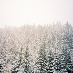 BARNT Catclub 03-11-2012