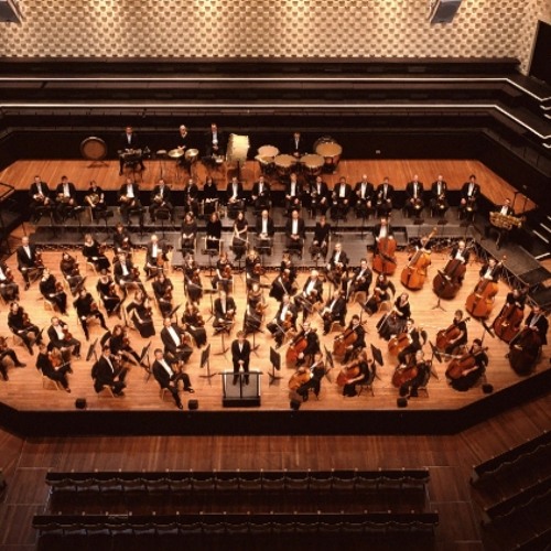D!rty So Fresh - Trouble In The Orchestra (Original Mix) [FREE DOWNLOAD]