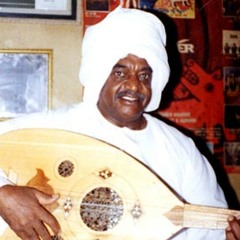 حسن جزولى النوبه