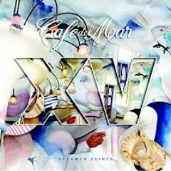 Stefano Capasso (Duo Mecanico) feat. Miss Tia  "Charade" Cafè del mar Vol. XV