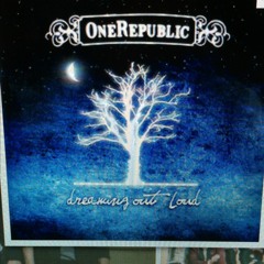 Too Late to Apologize- One Republic