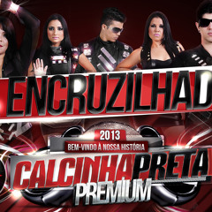 A Encruzilhada - Calcinha Preta - 2013 PREMIUM