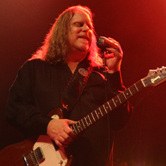 Gov't Mule~Morning Dew
