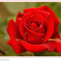 - يَقُولُ أَنَا وَحْدِي وَإِنْ شَاءَ بعْدَهَا