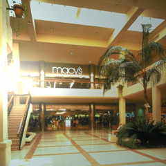 Mallday, Everyday