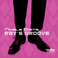 Nimble Digits "RAY'S GROOVE" (snippet preview)