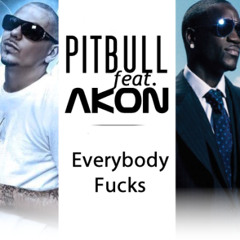 D J Pri Nce Pitbull Ft Akon Everybody Fucks Remix2013