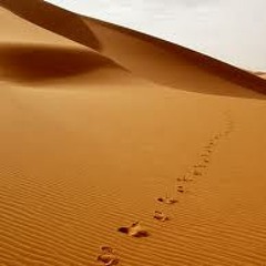 Hallberg - Following Footsteps (Jonatan F. Remix)