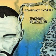 BENEDIKT WALTER - AKTENZEICHEN B.W. feat. Tibor Foco (Transylvanien / Der Dorn der Liebe)