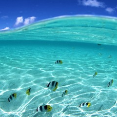 DEMEX - Dream (Relaxing, Chillout Trance 2013)