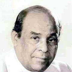 مصريه نوبيه