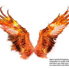 Bird of Embers (Live)