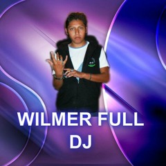 P7 DISCOTECA  vol2--embale midi WILMER FULL DJ animacion FERNANDO FLORES. wilys corporation .