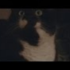 HGich.T - Der Knast hat viele Gesichter (Harry Cojonez PsyMix)