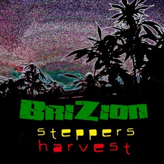 Steppers Harvest (counteraction dubplate mix chapter 2)