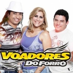 Voadores do forro deixa entra nova musica do verão 2013