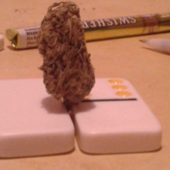 Tripping Remix Freestyle