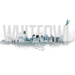 WhiteOwl - Higher Intelligence - Instrumentals Mix - 2013 - Free Download $0.00