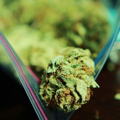 Zips (Prod. by Kee Bangin and D.A.)