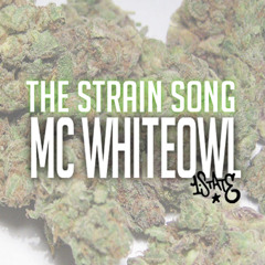 The Strain Song 420   by  @MCWhiteOwl and @1StateHipHop - MC WhiteOwl