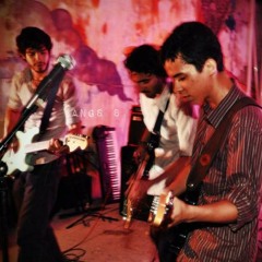 The Schwaggers - Fine With Me