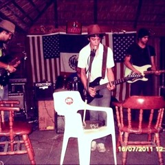 The Schwaggers - Out of the Here