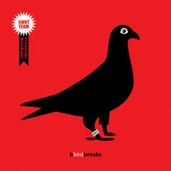 Dj Knowledge - Return of the killer Birds Bboy mix ( 2009 )