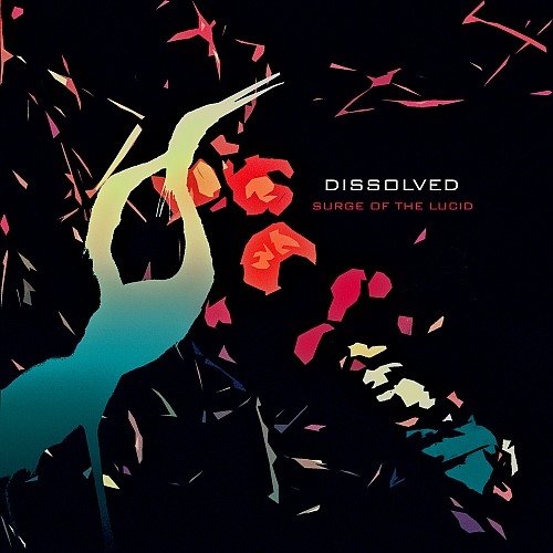 Dissolved - Forgotten Processes (DADD10)