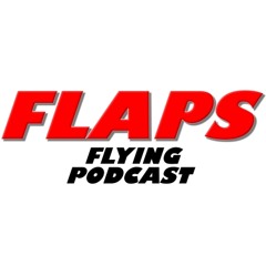Flaps 15 Extended - The Plane Crash