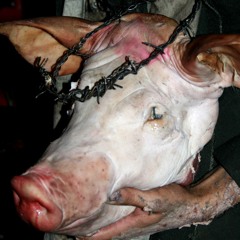 Coronandome de Espinas.